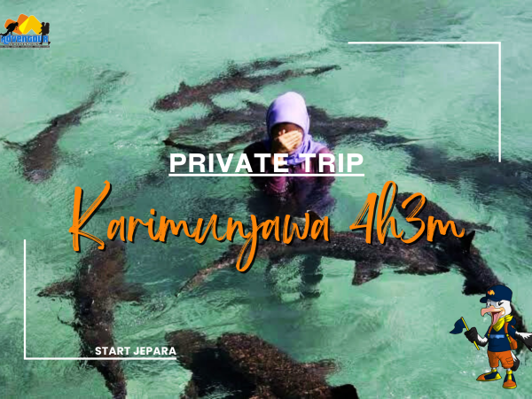 Travel Karimunjawa : Panduan Lengkap 4 Hari Liburan Karimunjawa